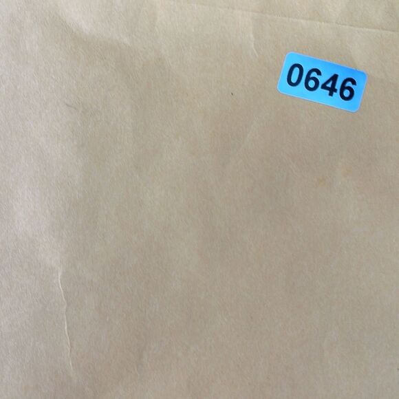 Squirrel pendent on 16” chain 1:5” extender gold colored - Picture 9 of 10